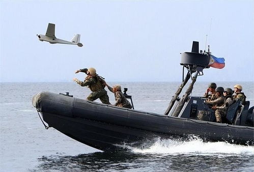 美菲联合军演现场全景图