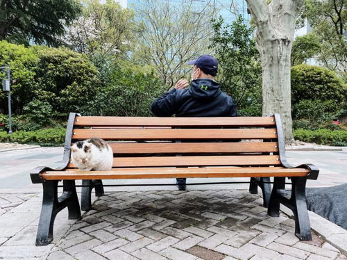 年轻人在公园草地上晒太阳看书