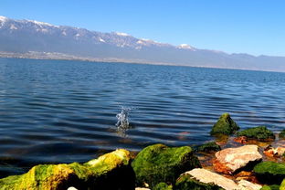 我开客栈的这些年，靠它赚了第一桶金