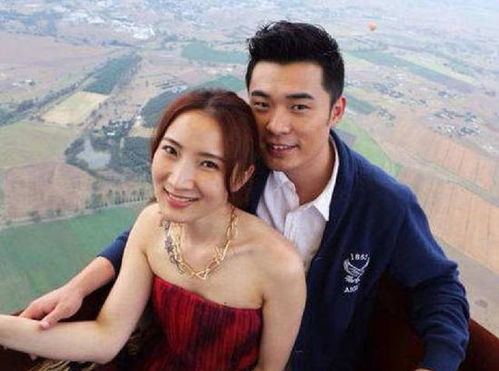 网友在社交平台评论刘畊宏事件