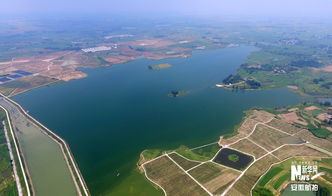 成立仅6天的公司拍得水库承包经营权？背后真相令人震惊！