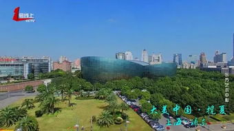 上海滨江步道夜景<p>这种“城市微度假”正在成为新的生活方式，带动了本地文旅、餐饮、娱乐等多个行业的复苏。</p><h2>五、骑行热+盲盒游，年轻人玩出新花样</h2><p>今年五一，骑行也成为一种热门选择。杭州临安推出了12条骑行线路，串联起大明山、吴越文化博物馆、露营地、咖啡馆等消费场景。</p><p>此外，“城市盲盒游”也受到年轻人欢迎。有人约上朋友骑单车逛老巷子、打卡收藏夹里的咖啡店，享受未知带来的新鲜感。</p><h2>六、结语：这届年轻人，把旅游玩明白了</h2><p>从“反向旅游”到陪爬、摆摊、骑行、盲盒游，这届五一假期的旅游方式越来越多元化，也越来越贴近年轻人的生活节奏和心理需求。</p><p>他们不再盲目追逐热门景点，而是更注重体验感、性价比和情绪价值。也许未来的旅游，不再是“去哪里”，而是“怎么去”、“和谁一起去”。</p><p>你这个五一，是怎么过的呢？</p>                        </p>
                        <!-- E 正文 -->
                    </div>

                    <!-- S 付费阅读 -->
<!-- E 付费阅读 -->


                    <!-- S 点赞 -->
<div class=