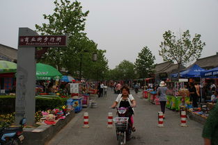 五一出游哪里人最多？河南接待游客6450.3万人次，超全国1/5