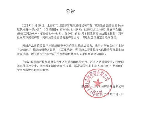 GOODBAI牛仔外套质检报告