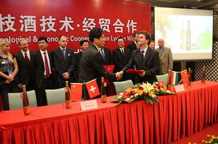 中欧全面取消交往限制，释放了哪些信号？