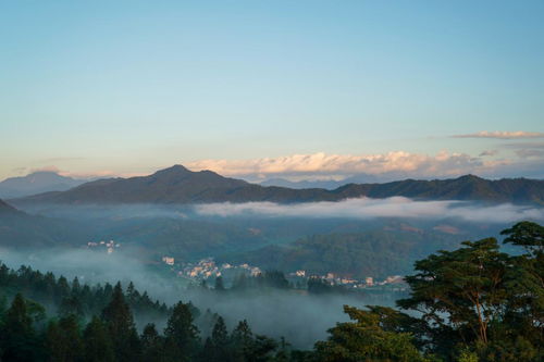 福建8岁男童山顶失踪，搜救行动牵动全网人心