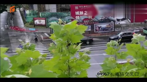 河南老人强拦婚车讨喜烟 被特警驱离，我亲历现场讲述全过程