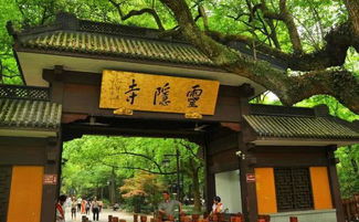 杭州灵隐寺门口 8.5 平小卖部年租金 260 万，这个租金合理吗？景区小卖部有多赚钱？