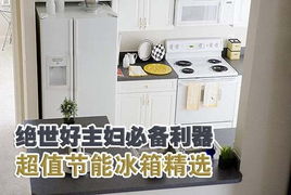 家庭主妇选购绿色节能家电