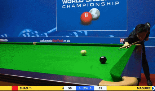 现场观众为赵心童欢呼