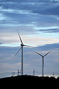 风力发电场全景图<p>例如，中欧在新能源汽车、智能电网等领域的合作不断深化，不仅促进了双方的技术交流，也为全球绿色转型提供了有力支持。正如多家外企负责人所言，中欧在不同领域都有显著优势，具有广阔的互补合作潜力。</p><h2 id=