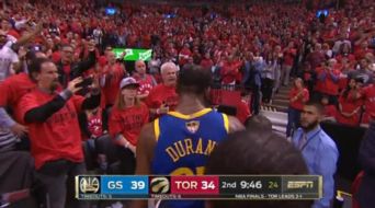 尼克斯球迷在主场欢呼庆祝胜利