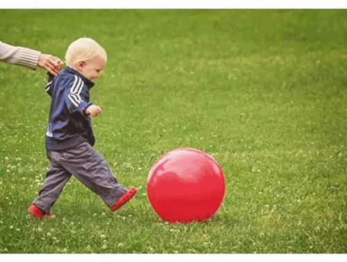 君子三乐：在平凡中寻找人生的真正幸福