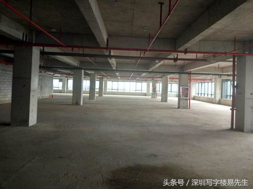 深圳南山区科技园内的创业团队<p>在深圳，国资不再是冷冰冰的资金提供者，而是逐渐转变为有温度、有耐心的“陪跑者”。他们愿意陪着创业者走过最艰难的起步阶段。</p><h3>结语：大胆不是莽撞，而是对未来的笃定</h3><p>从上海到广州再到深圳，我们可以看到一个清晰的趋势：国资正在从幕后走向台前，从保守走向开放，从单一资金方转向综合服务商。</p><p style=