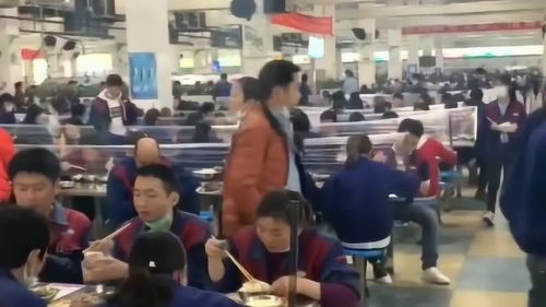 学生在校内食堂就餐场景