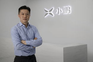 抖音风波不断！从谣言治理到支付升级，平台生态正在悄然改变