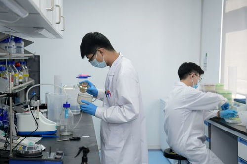 医学研究实验室内的工作人员工作场景
