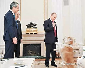 普京：希望不需要动用核武器｜和平曙光何时能照亮俄乌战场？