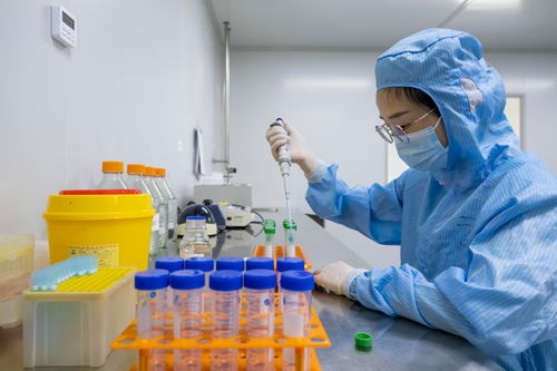 美国研究人员在实验室分析血清样本