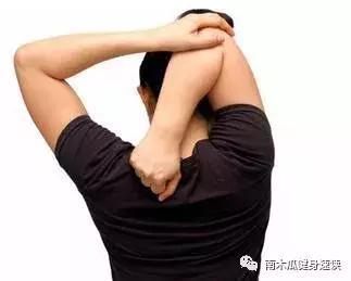 颈部侧倾拉伸示范图示