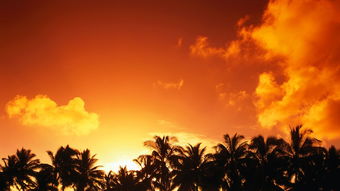 海边夕阳下的家庭亲子互动场景<p>总的来说，这个五一让我真切感受到生活的复苏与活力。无论你是想走遍祖国大好河山，还是准备迎接远方的朋友，文旅市场都在为我们提供越来越丰富的选择。</p>                        </p>
                        <!-- E 正文 -->
                    </div>

                    <!-- S 付费阅读 -->
<!-- E 付费阅读 -->


                    <!-- S 点赞 -->
<div class=