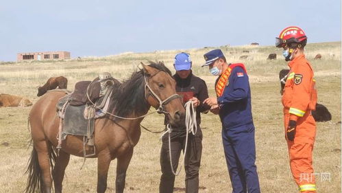 敦煌牧民参与救援工作