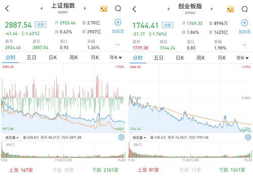 A股午盘：全市场超4800股上涨，股民直呼久违了！