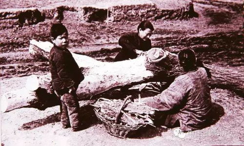 一张关于二战难民迁徙的历史地图