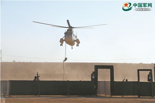 中巴联合军演海洋卫士演习现场