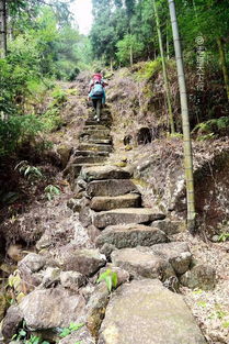 福建8岁男孩景区失踪引热议 网友担心遭遇蟒蛇