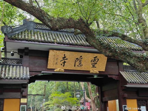 灵隐寺景区小卖部实景图