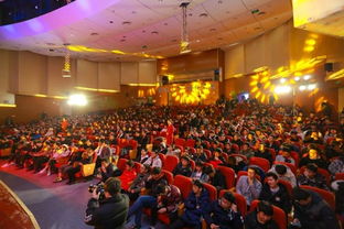 北影节现场盛况