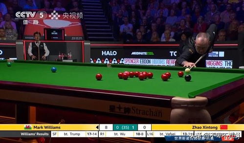 赵心童与马克威廉姆斯对战