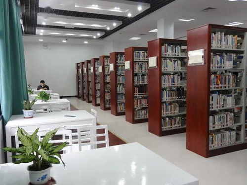 年轻人在图书馆靠窗位置阅读