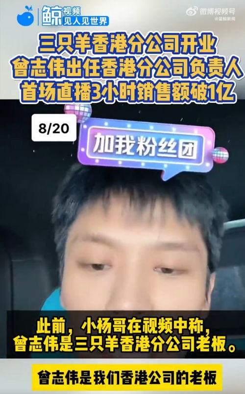 小杨哥停更9个月掉粉超1300万，三只羊还能翻身吗？