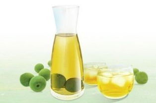 青梅酒在玻璃瓶中静置发酵