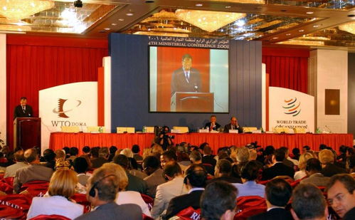 世界贸易组织会议现场