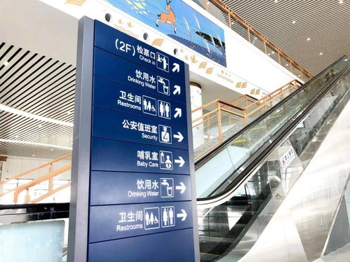 2025五一假期盘点：出行14亿人次、文旅消费火热、新能源车流量飙升