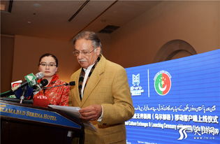 巴基斯坦新闻与广播部长阿陶拉·塔拉尔发表讲话<p>这一消息立即引发国际社会高度关注。巴基斯坦政府强调，任何来自印度方面的军事冒险行为都将遭到“坚决而果断”的回击，并已做好全面应对准备。</p><br>