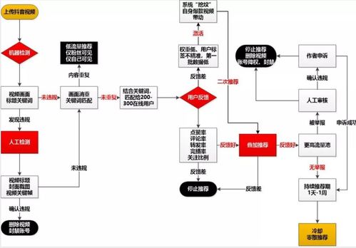 抖音算法透明化页面展示图