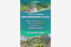 联合国呼吁印巴保持克制画面