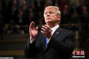 特朗普怒斥印度对巴军事行动“可耻”！背后真相令人震惊？