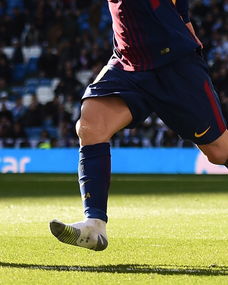 球迷们在诺坎普欢呼庆祝