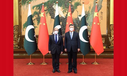 巴基斯坦总理夏巴兹会见阿联酋大使时发言场景