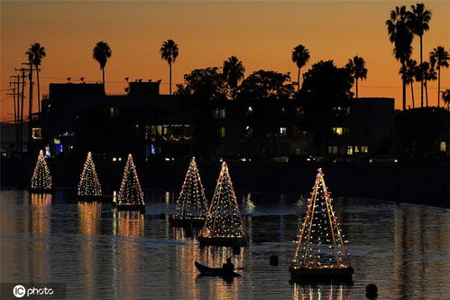 血蝶&mdash;&mdash;STAGE81：狂风｜一场命运与信念的终极对决