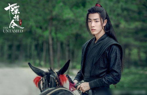 肖战在《陈情令》中的魏无羡造型