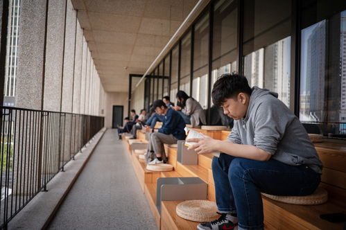 读者在阳光下阅读书籍