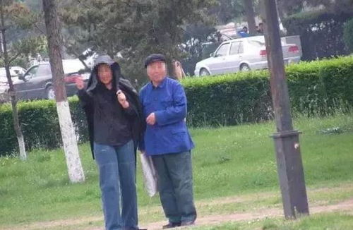 老年人在公园散步聊天