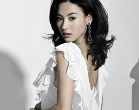 张柏芝顶级骨相惊艳依旧，40+的她为何美得像没变过？