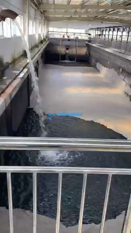 工厂污水处理现场图